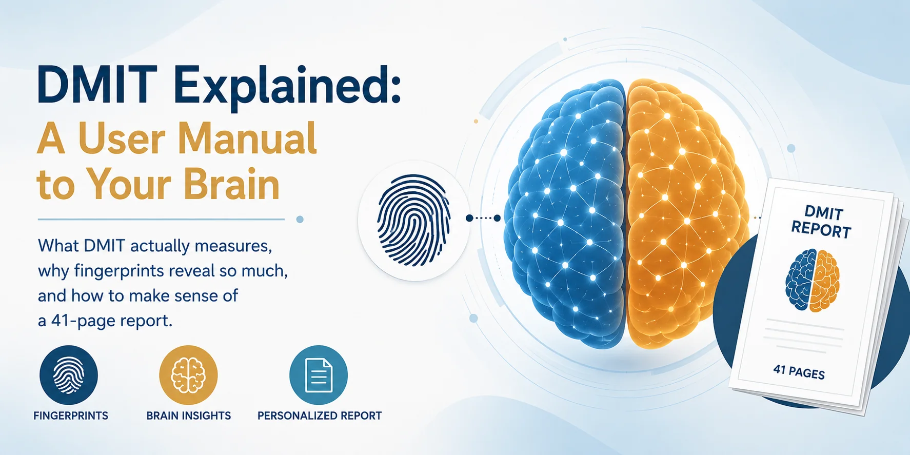 DMIT Explained: A User Manual to Your Brain